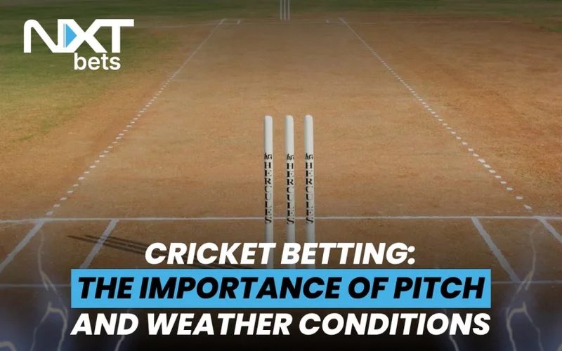 Evaluating Pitch Conditions and Toss Winning Impact