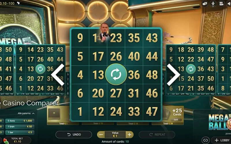 Mega Ball 100x Multiplier Ball and Winning Card Lines